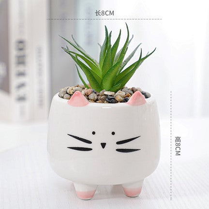 Pot de succulente avec motif de chat