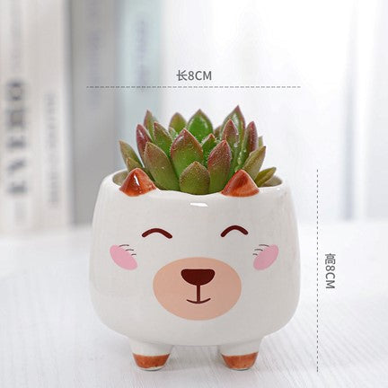 Pot de succulente à motif de chien