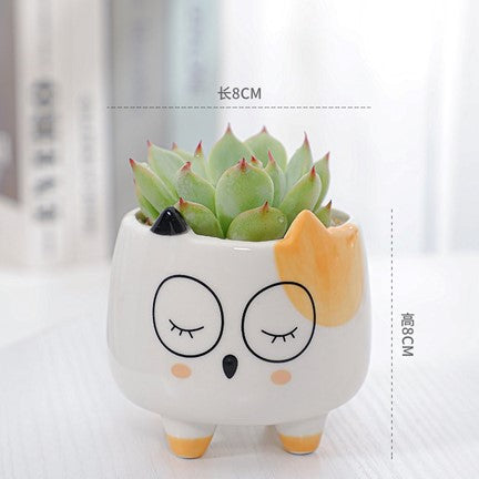 Pot avec succulente à motif d'hibou
