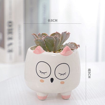 Pot avec succulente à motif d'hibou
