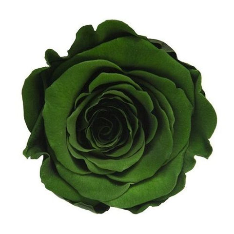Rose éternelle préservée vert foncé
