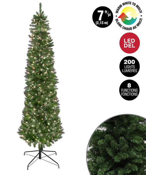 Sapin étroit lumineux avec lumières blanc chaud et multicolore