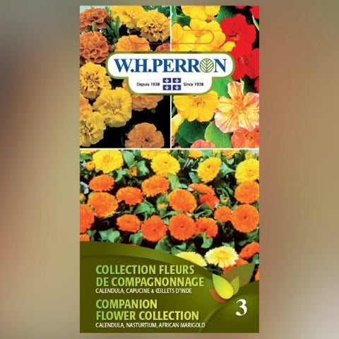 Semence de "Collection de fleurs de compagnonnage"