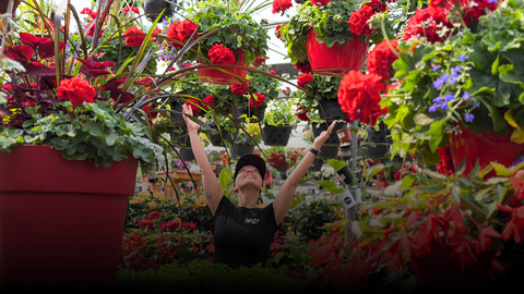 La jardinerie près de chez vous !