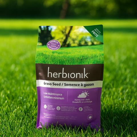 Semence à gazon "Herbionik" Entretien minimum