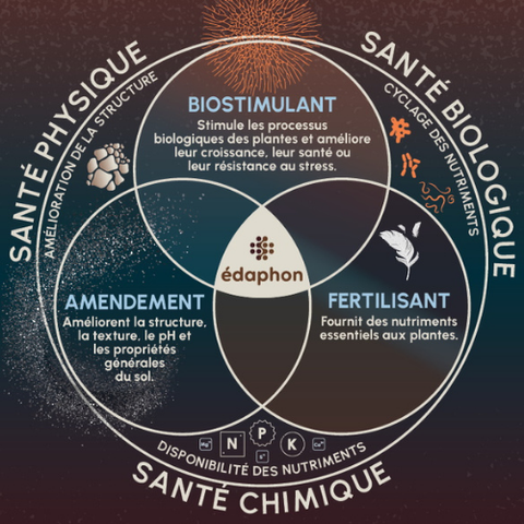 Conférence – Semer aujourd’hui, nourrir demain - 15 mars 11h00
