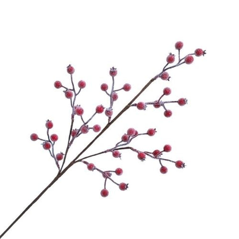 Branche décorative de baies rouges glacées