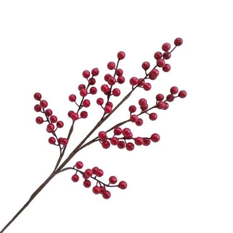 Branche décorative de baies rouges