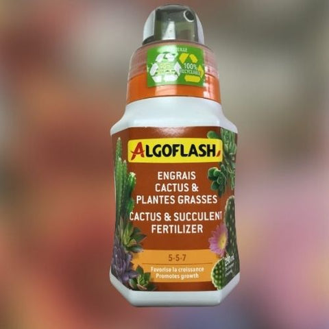 Algoflash pour cactus et plantes grasses 5-5-7