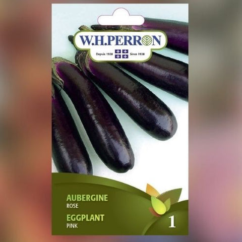Semence "Aubergine rose" non traité