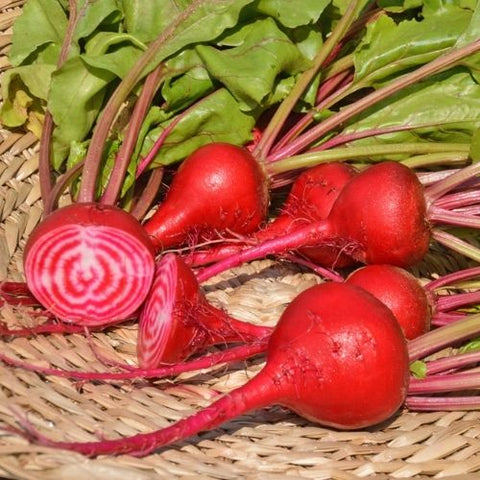 Semence "Betterave Chioggia" - Bio - Écoumène