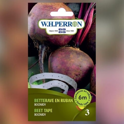 Semence de "Betterave Boltardy" non traité