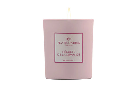 Bougie Parfumée "Récolte de la Lavande"