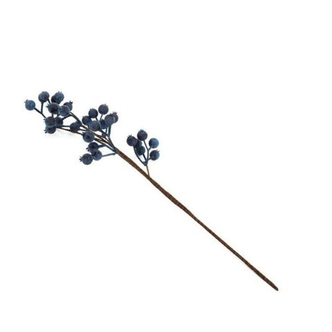 Tige de bleuets