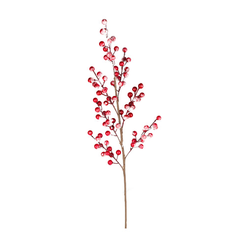 Branche décorative avec baies rouges givrées