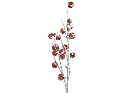 Branche décorative avec baies rouges enneigées