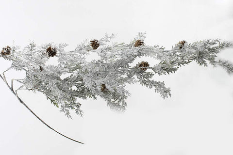 Branche décorative blanche givrée avec cocottes