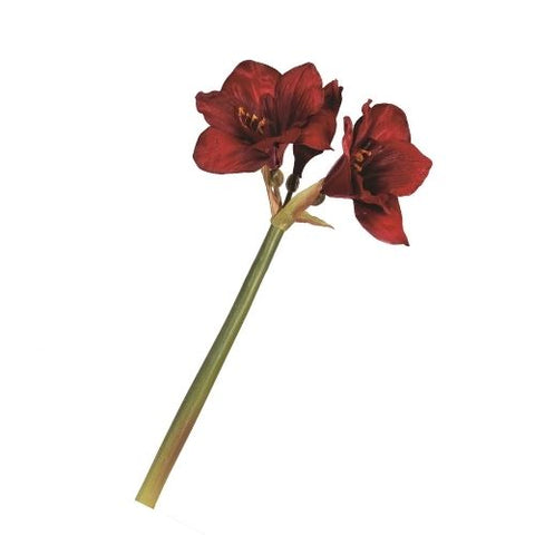 Branche décorative d’amaryllis bourgogne