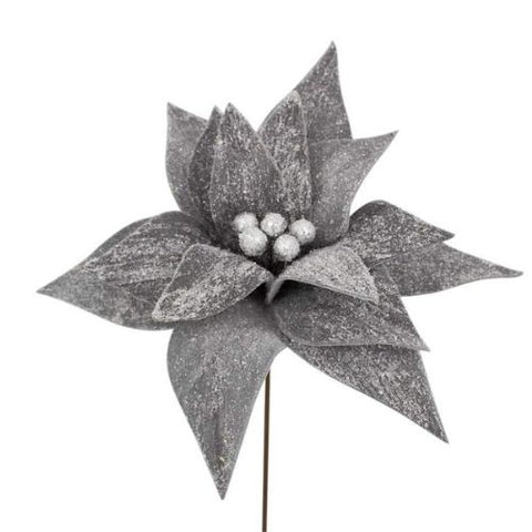 Pic de poinsettia gris
