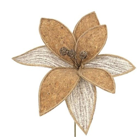 Pic de poinsettia brun et liège