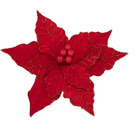 Pic de poinsettia rouge scintillant