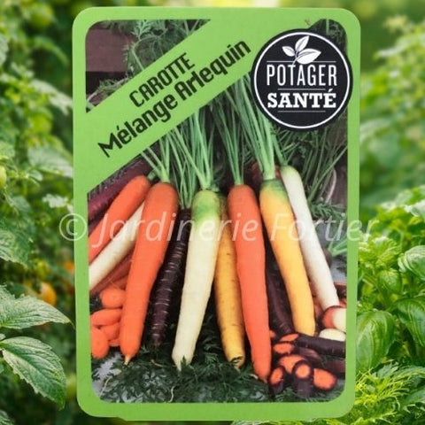 Carotte mélange Arlequin / Potager Santé