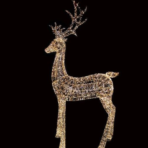 Renne lumineux géant doré avec 4 300 DEL blanc chaud