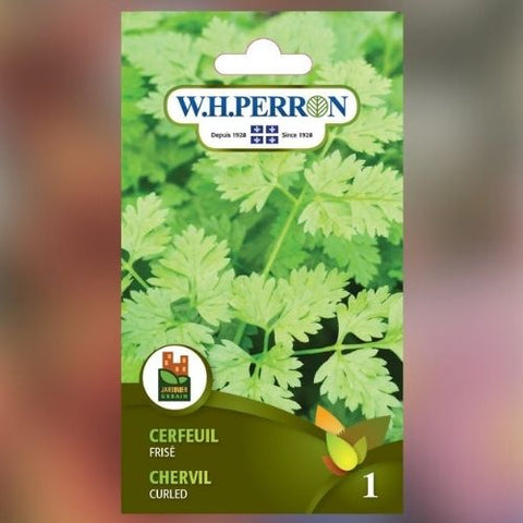 Semences de cerfeuils