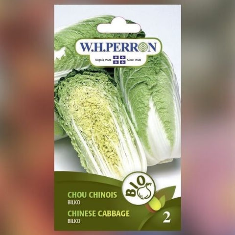 Semence de "Chou Chinois Bilko" Biologique