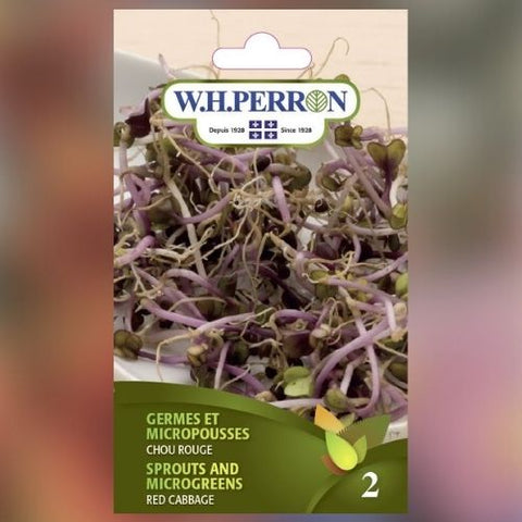 Graines de germinaison