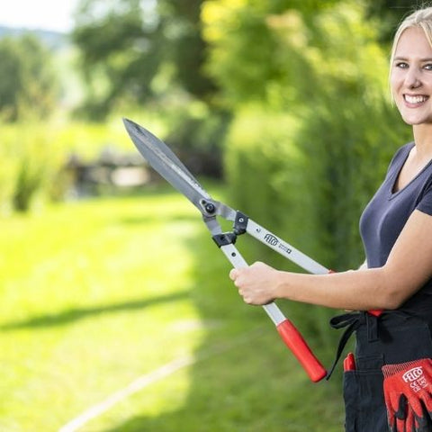 Cisaille à haies FELCO 250-63