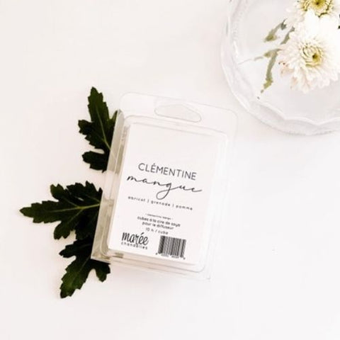 MARÉE CHANDELLE Pastille de diffuseur "Clémentine mangue"