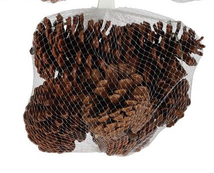 Sac de cocottes de pin naturelles