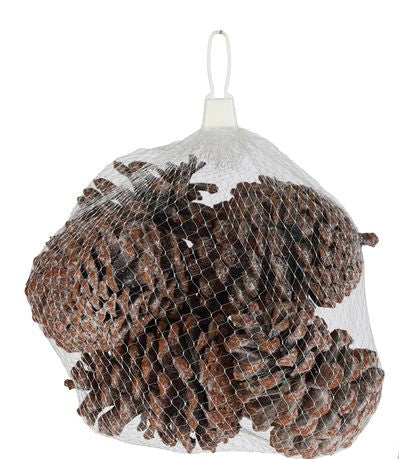 Sacs de cocottes de pin à paillettes