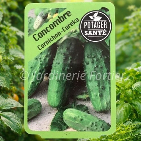 Concombre Cornichon / Potager Santé