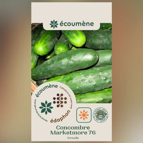 Plant de concombre 'Marketmore' – Écoumène