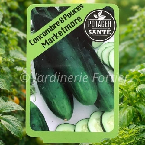 Concombre Ordinaire Marketmore / Potager Santé