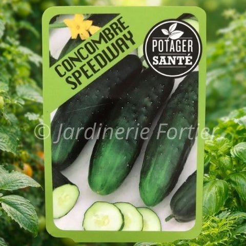 Concombre Speedway / Potager Santé