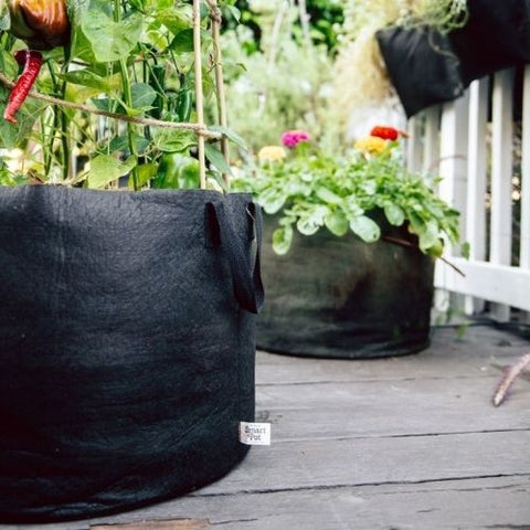 Smart pot-20 gallons-75litres-50x39cm-20x15.5pc-geotextile