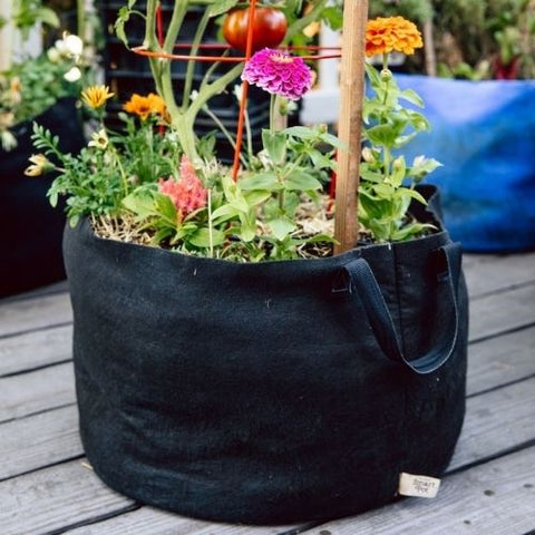 Smart pot-20 gallons-75litres-50x39cm-20x15.5pc-geotextile