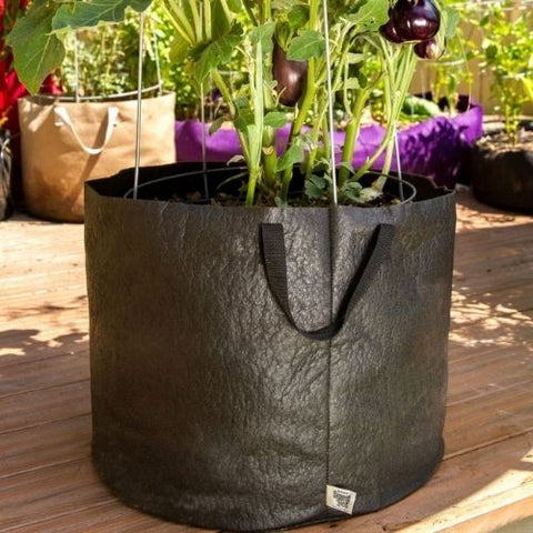 Smart pot-20 gallons-75litres-50x39cm-20x15.5pc-geotextile