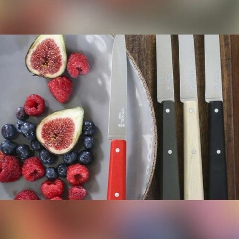 Coffret Bon Appétit – 4 Couteaux de Table - OPINEL