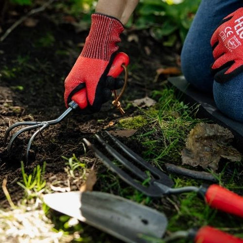 Cultivateur de jardin FELCO 411