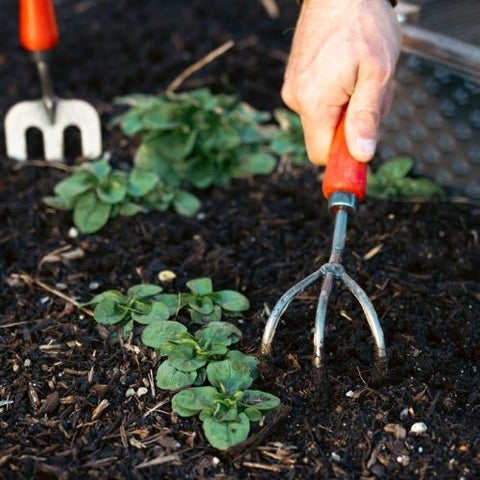 Cultivateur de jardin FELCO 411