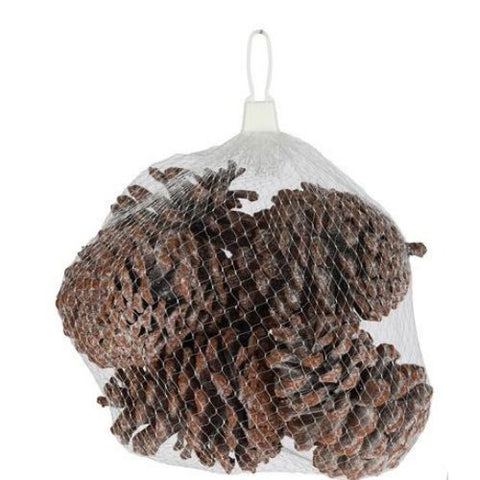Sacs de cocottes de pin à paillettes