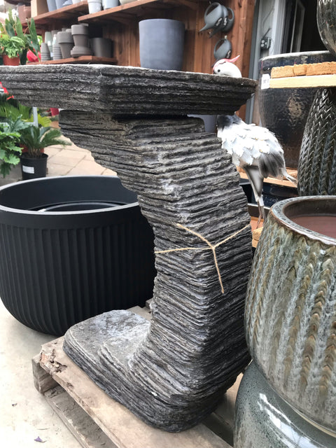 Bain d'oiseau gris foncé