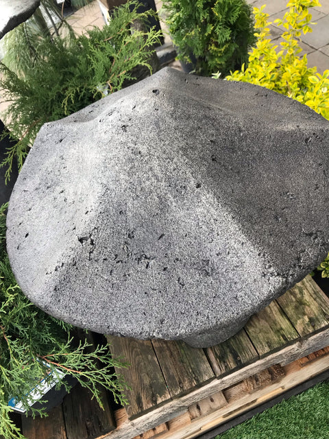 Champignon de jardin géant