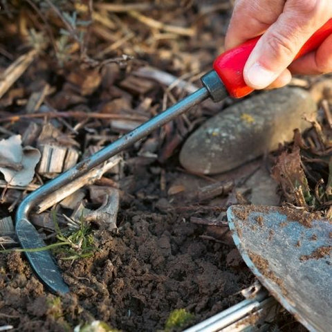 Désherbeur FELCO 421