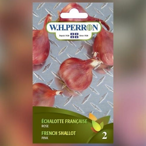 Semence "d'Échalote française rose"