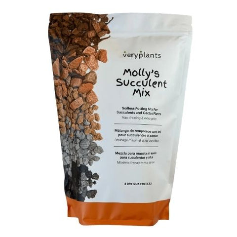 Mélange pour succulents et cactus Molly’s - veryplants